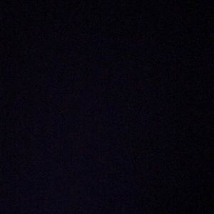 Meet your Posher, Pearl